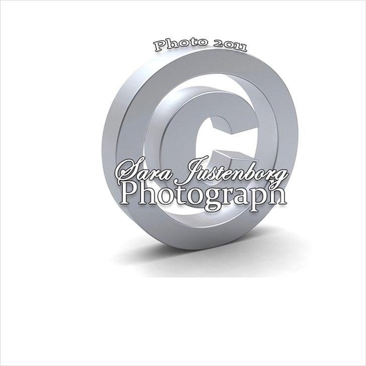 Nybegynder i Photoshop billede 7