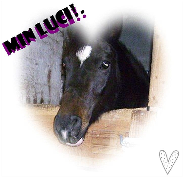 Billeder jeg har lavet  billede 43