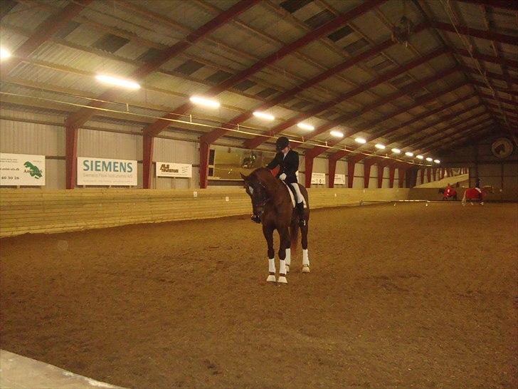 Team cup på Svenstrup rideskole. :) billede 2