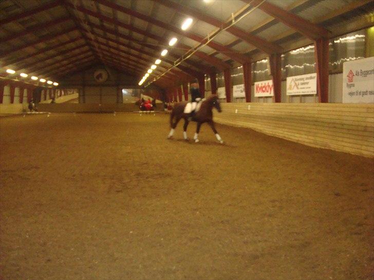 Team cup på Svenstrup rideskole. :) billede 3