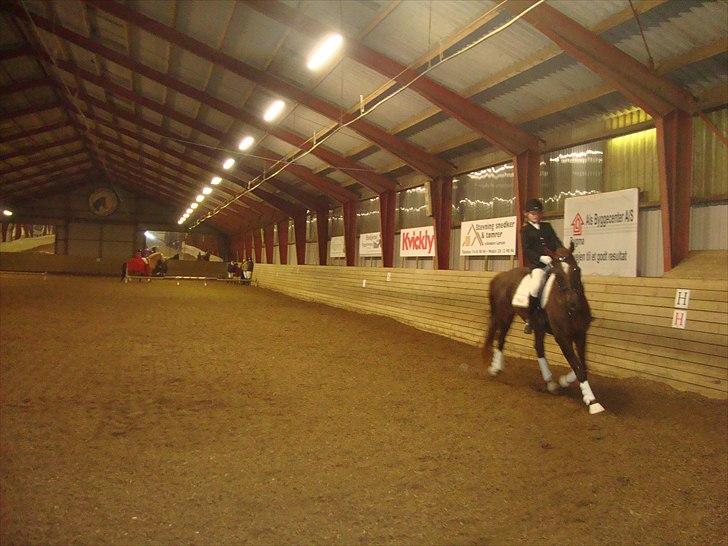 Team cup på Svenstrup rideskole. :) billede 5