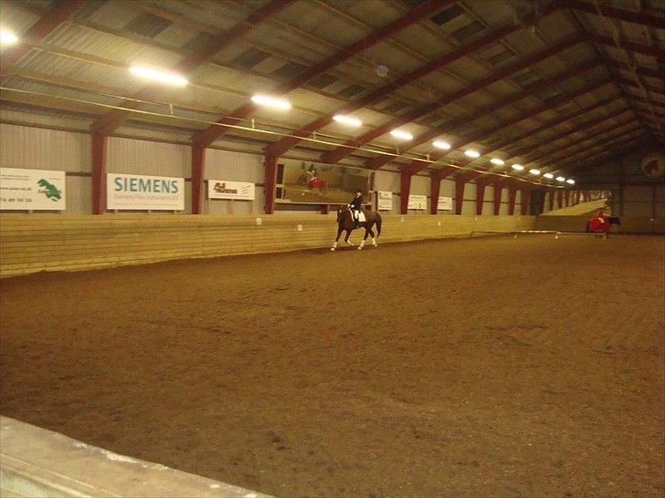 Team cup på Svenstrup rideskole. :) billede 6