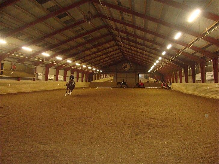 Team cup på Svenstrup rideskole. :) billede 8