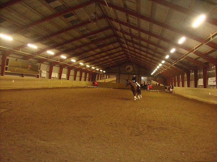 Team cup på Svenstrup rideskole. :) billede 10