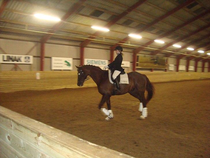 Team cup på Svenstrup rideskole. :) billede 11