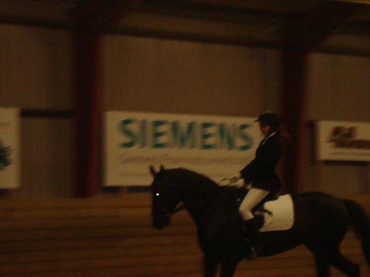 Team cup på Svenstrup rideskole. :) billede 14