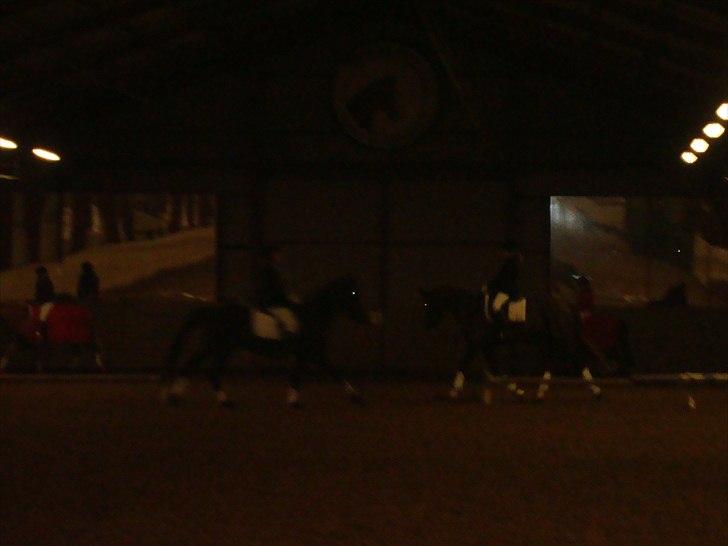 Team cup på Svenstrup rideskole. :) billede 15