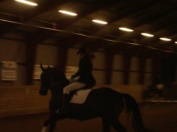 Team cup på Svenstrup rideskole. :) billede 16