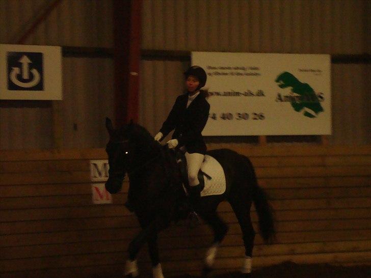 Team cup på Svenstrup rideskole. :) billede 20