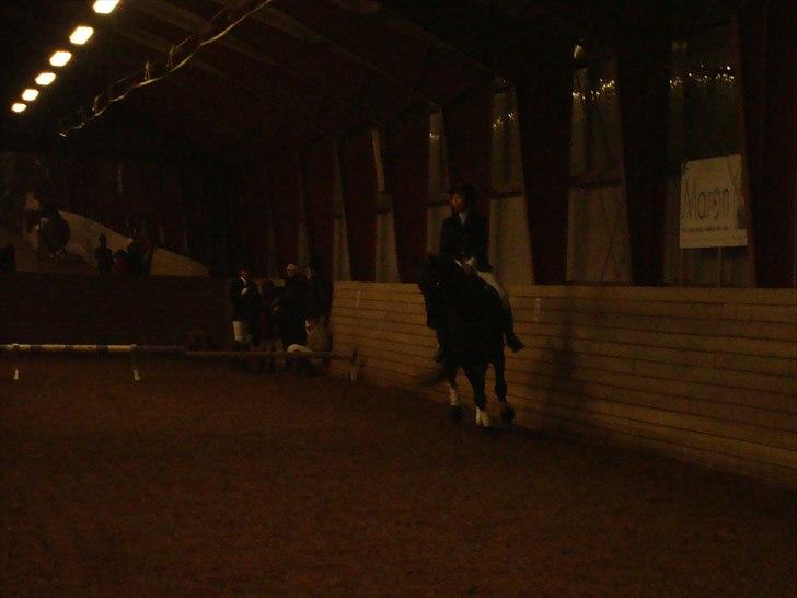 Team cup på Svenstrup rideskole. :) billede 21