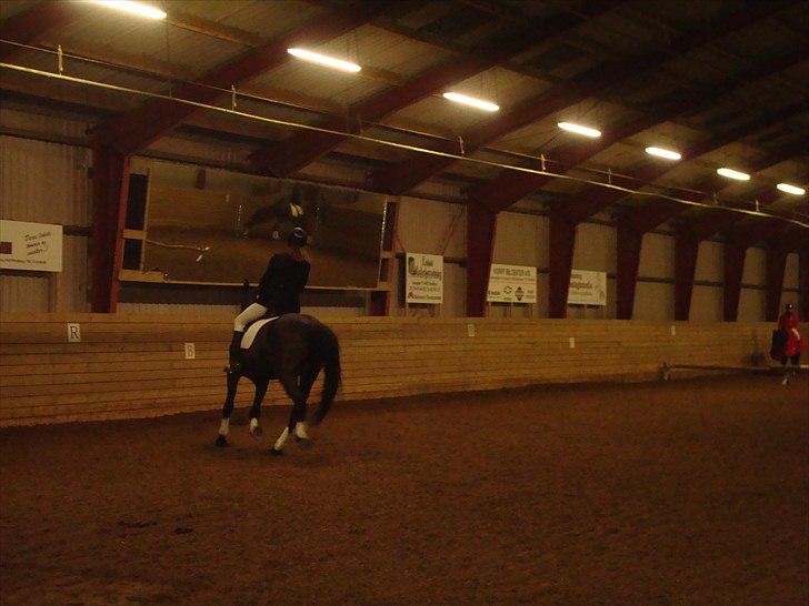 Team cup på Svenstrup rideskole. :) billede 22