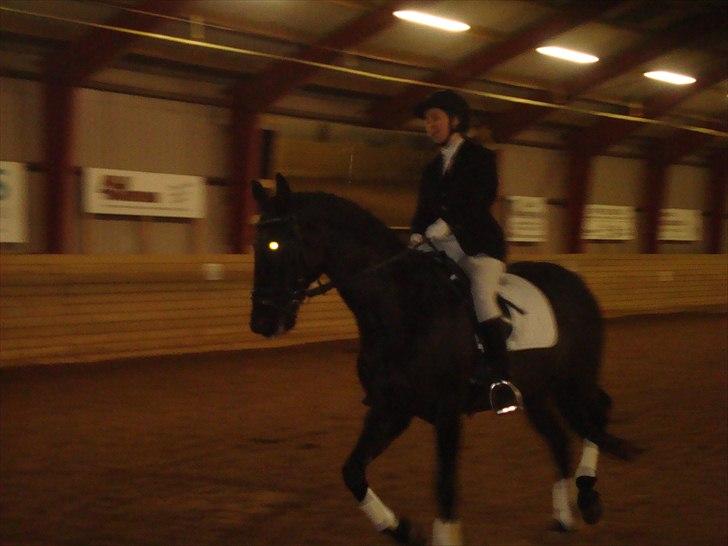 Team cup på Svenstrup rideskole. :) billede 23