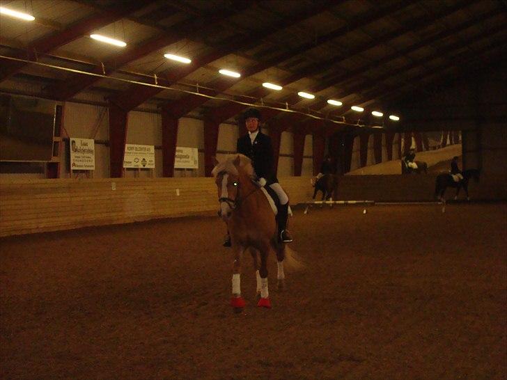 Team cup på Svenstrup rideskole. :) billede 24