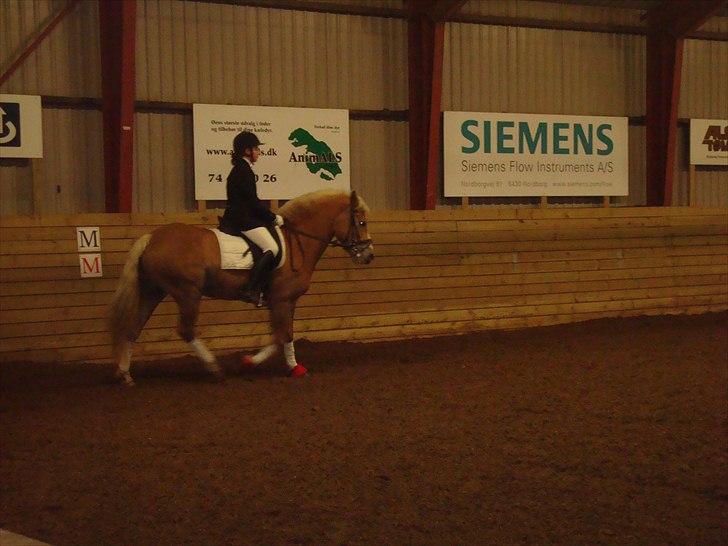 Team cup på Svenstrup rideskole. :) billede 26