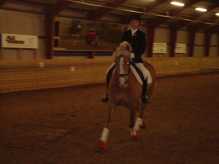 Team cup på Svenstrup rideskole. :) billede 27