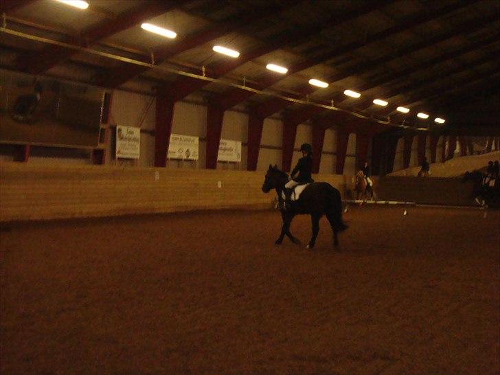 Team cup på Svenstrup rideskole. :) billede 28