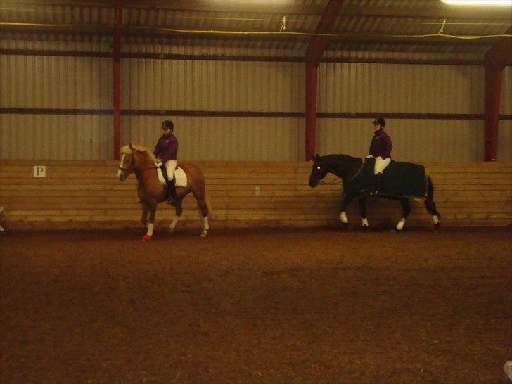 Team cup på Svenstrup rideskole. :) billede 31