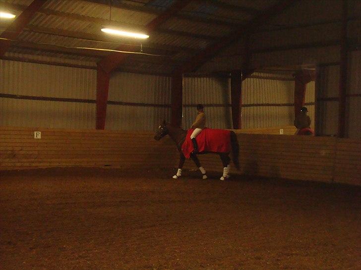 Team cup på Svenstrup rideskole. :) billede 33