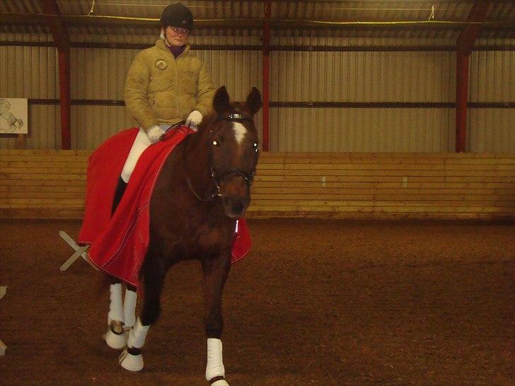 Team cup på Svenstrup rideskole. :) billede 35