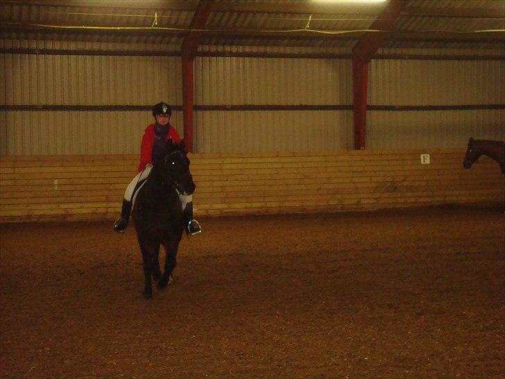 Team cup på Svenstrup rideskole. :) billede 37