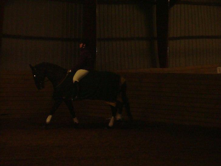 Team cup på Svenstrup rideskole. :) billede 38