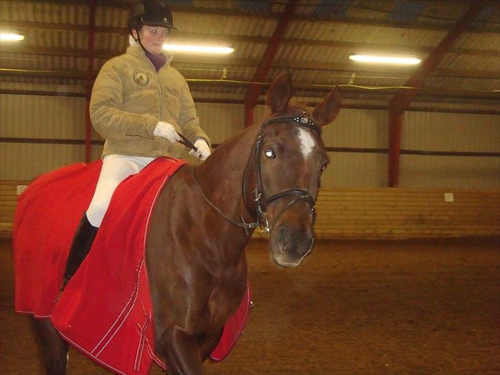 Team cup på Svenstrup rideskole. :) billede 39