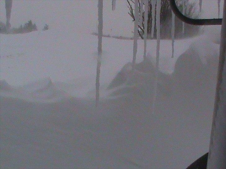 Billeder af sne - massere af sne -! - 5) Tror faktisk også at dette at dette er taget ud gennem hovededøren ud mod vejen! c(: billede 5