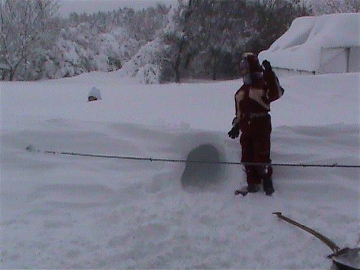 Billeder af sne - massere af sne -! - 6) Mig der står ude i haven og sammen med min søster har jeg lavet en hule under jorden! <3. Det er det man kalder RIGTIG vinterhygge! :). billede 6