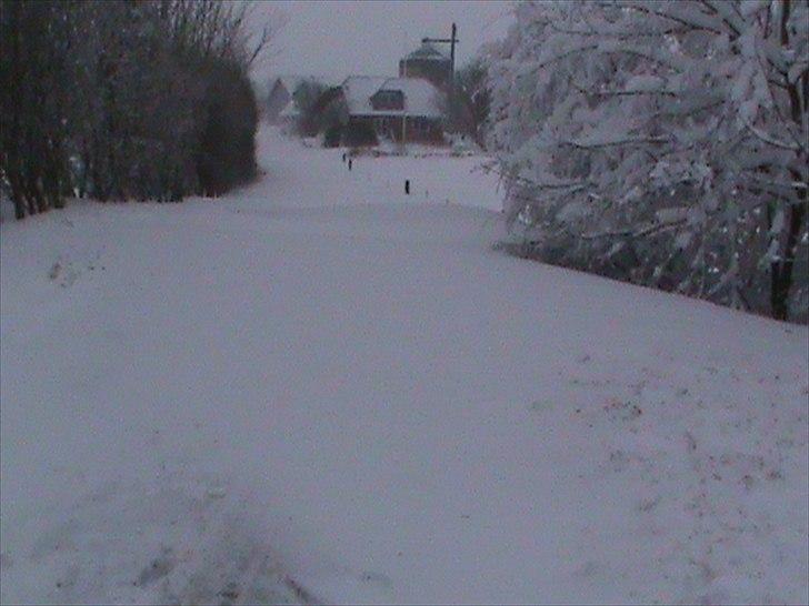 Billeder af sne - massere af sne -! - 7) Se fra vores indkørsel ned mod marken :). billede 7
