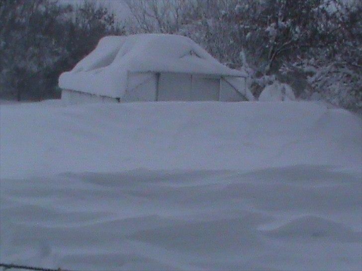 Billeder af sne - massere af sne -! - 14) "Øhhh hvor er drivhuset blevet af???" HA, ha! JA drivhuset var helt væk! xD! billede 14