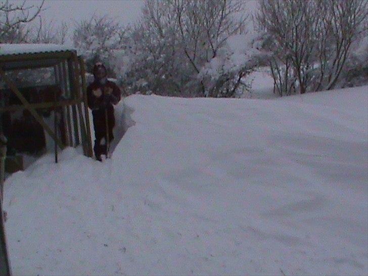 Billeder af sne - massere af sne -! - 19) Min søster Marie der skal til at grave! (; billede 19