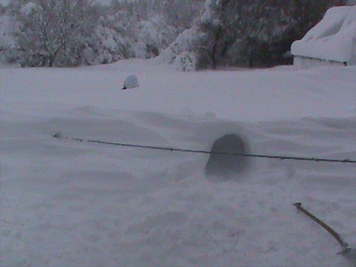 Billeder af sne - massere af sne -! - 20) Og her ser i så den færdig lavede hule! <3. Graverne = Min søster Marie og mig Sofie + en lille smule min søde hund Shiba <3. billede 20