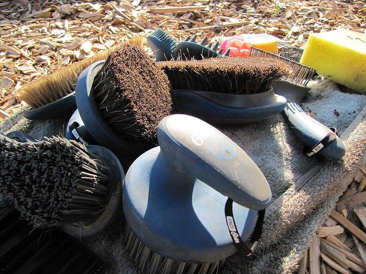 Seje ting!:D - Momrik's strigler(:
*Rengøring* billede 30