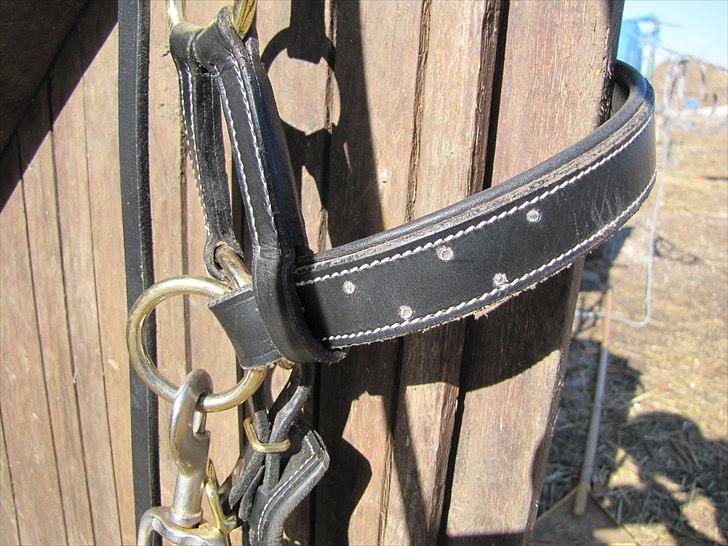 Seje ting!:D - Min sidepull som jeg har pyntet med hotfix sten(: billede 34