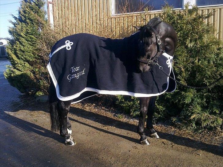 Kreativitet - Anna Scaparti ulddækken. billede 10