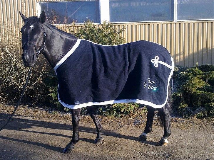 Kreativitet - Anna Scaparti ulddækken. billede 11