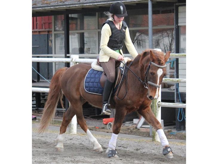 {{currentPhoto.altText}} billede {{currentPhoto.number}}