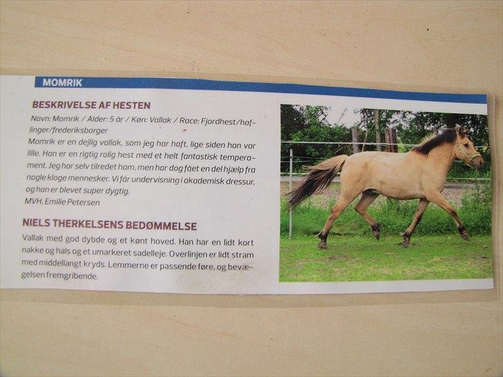 Seje ting!:D - Udklip fra Equipage, fra da Momrik blev bedømt(: billede 38
