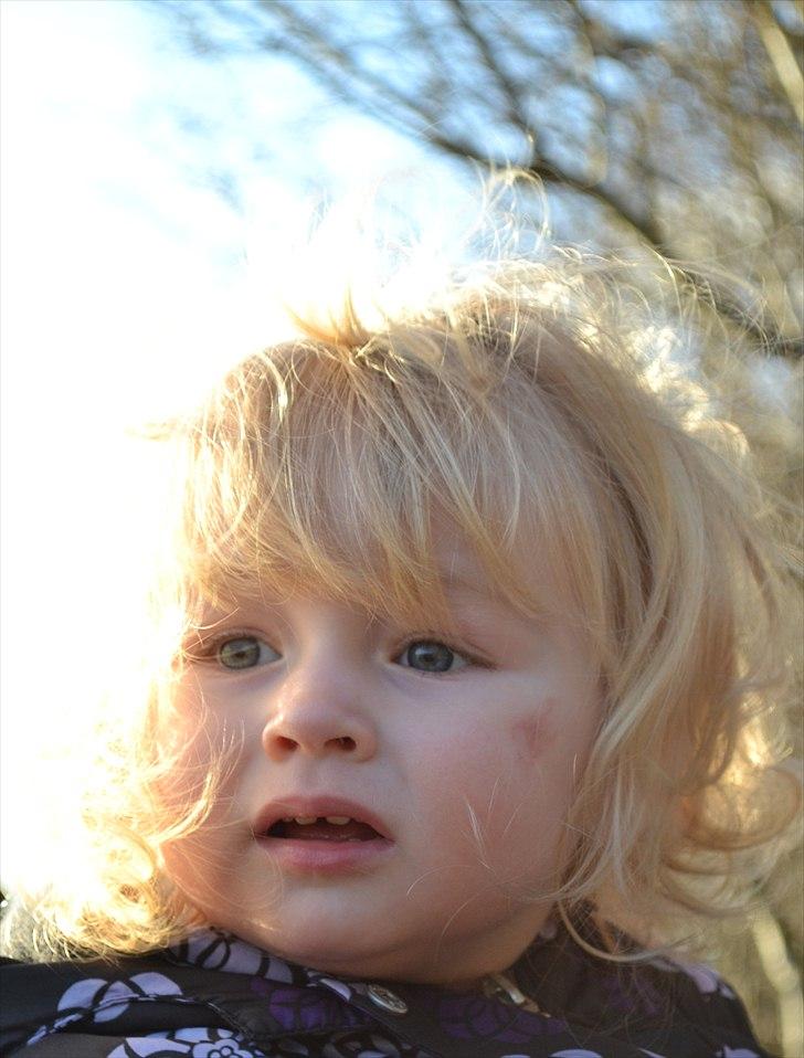 Emma -Min fætters datter:) *NC-foto* billede 6