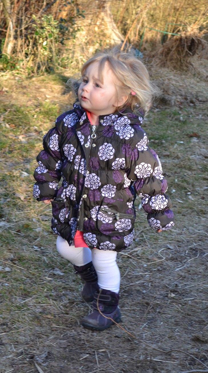 Emma -Min fætters datter:) *NC-foto* billede 14