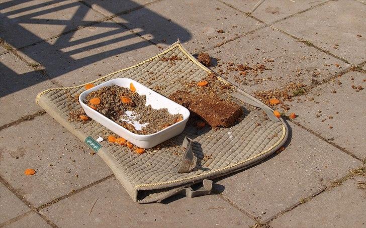 Cava 1 år - "lagkage" billede 1