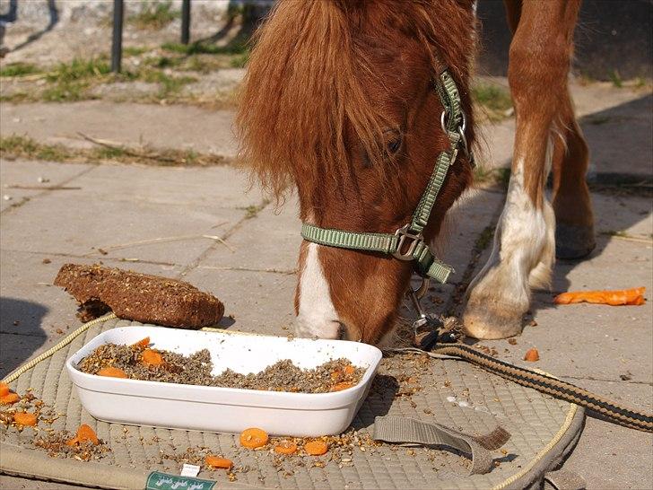 Cava 1 år - "lagkage" billede 3