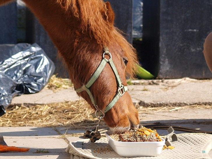 Cava 1 år - "lagkage" billede 5