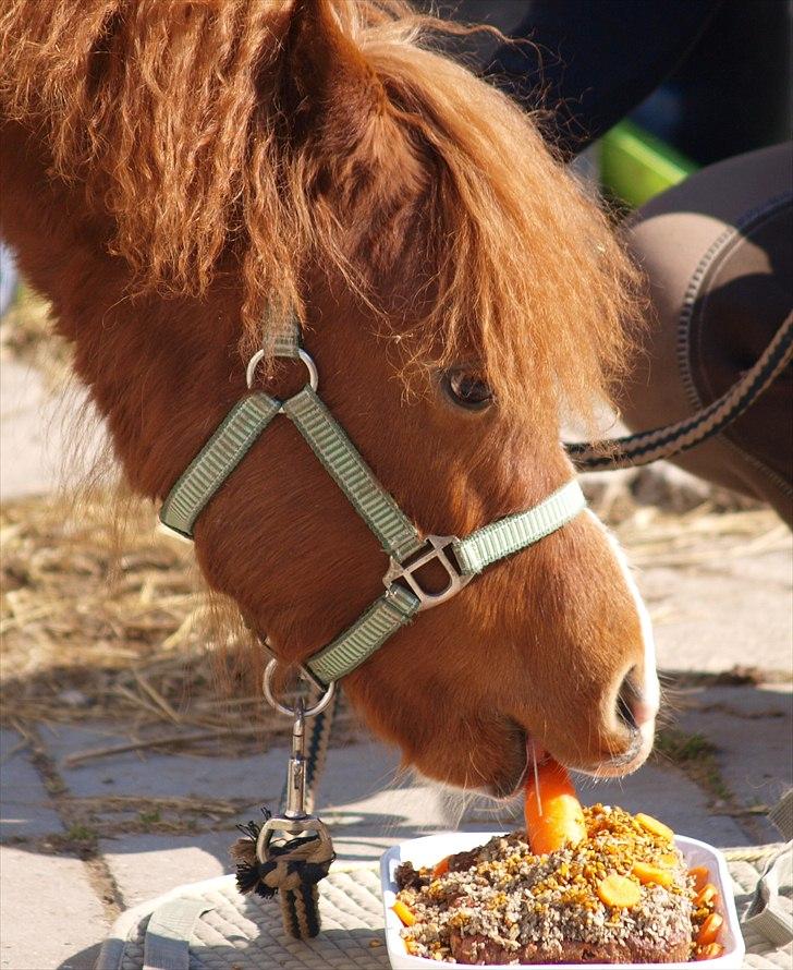 Cava 1 år - "lagkage" billede 9