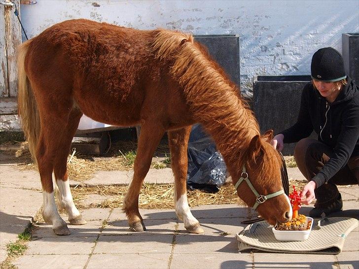 Cava 1 år - "lagkage" billede 10