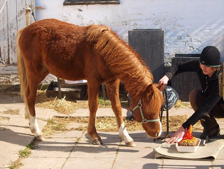 Cava 1 år - "lagkage" billede 11