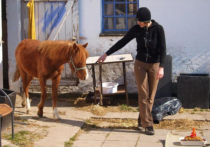Cava 1 år - "lagkage" billede 12