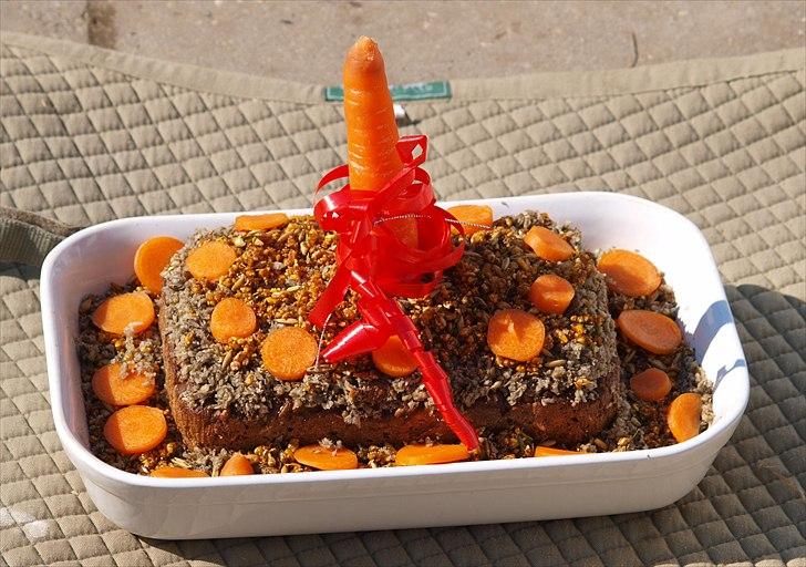 Cava 1 år - "lagkage" billede 13