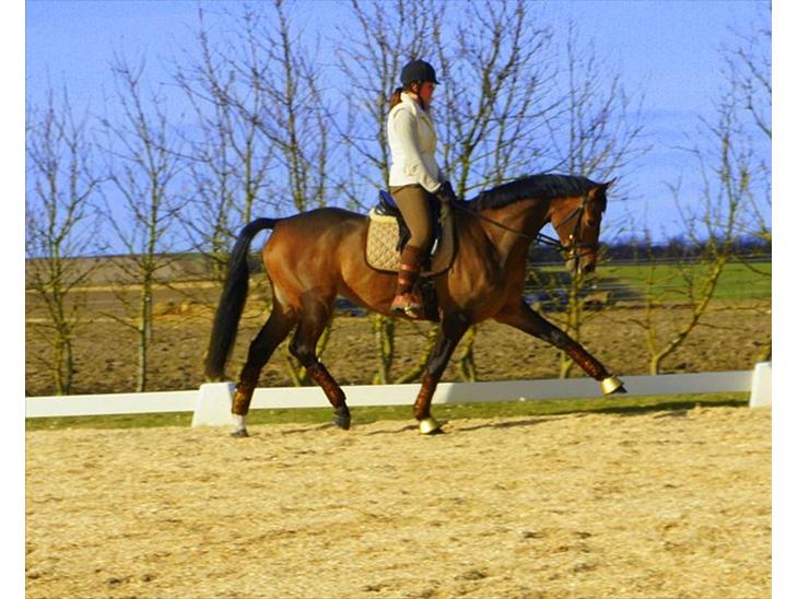 {{currentPhoto.altText}} billede {{currentPhoto.number}}