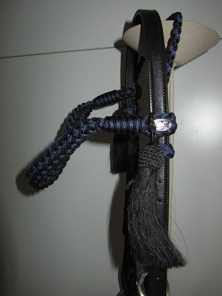 Mit nye hovedtøj uden hest. Barefoot Amber "Sidepull" billede 6